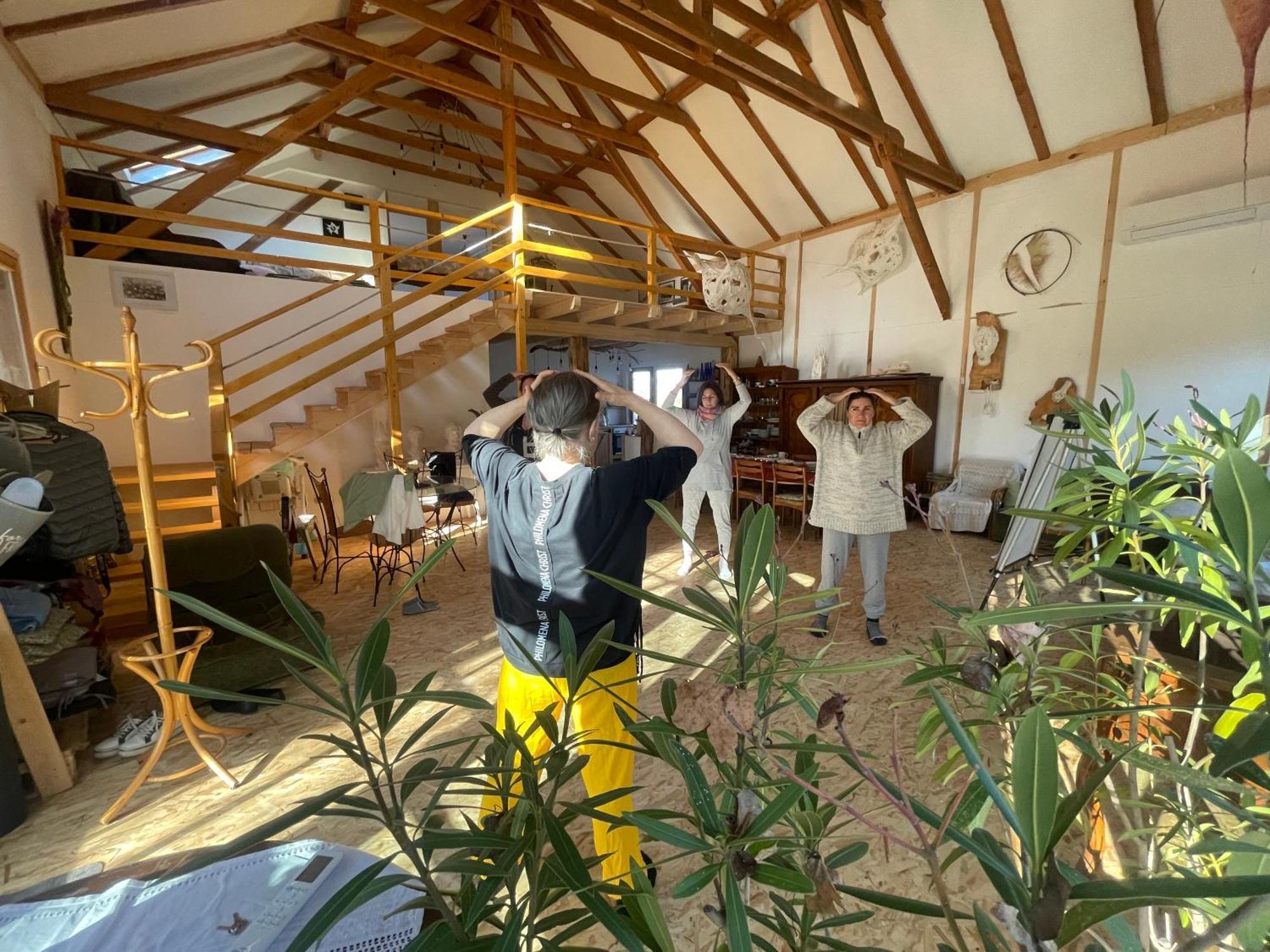 Apartamento Of Arts And Creation, Erdei Alkoto Kismaros